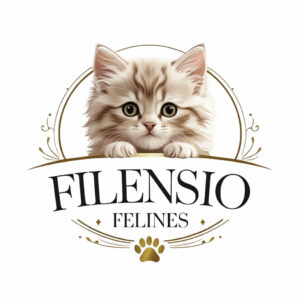 Filensio logo